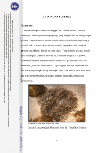 Adaptasi fisiologi anemon pasir (Heteractis malu