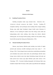 BAB II TINJAUAN PUSTAKA 2.1. Kambing