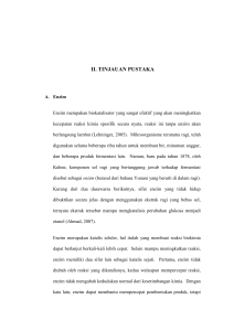 II. TINJAUAN PUSTAKA