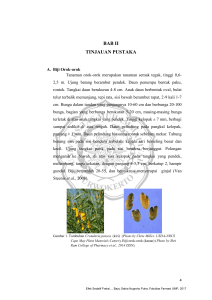 BAB II TINJAUAN PUSTAKA