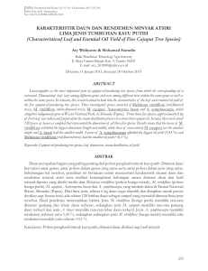 KARAKTERISTIK DAUN DAN RENDEMEN MINYAK ATSIRI