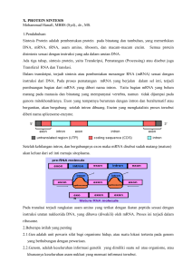 10 Protein sintesis