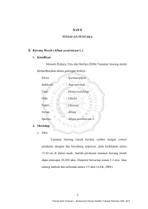 BAB II TINJAUAN PUSTAKA D. Bawang Merah ( Allium ascalonicum