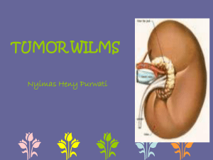 Tumor Wilms - e-Learning-UMJ