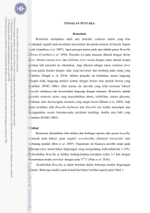5 TINJAUAN PUSTAKA Bruselosis Bruselosis