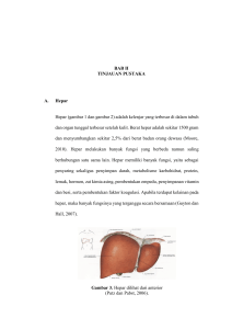 BAB II TINJAUAN PUSTAKA A. Hepar Hepar (gambar 1 dan gambar