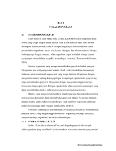 BAB 2 TINJAUAN PUSTAKA 2.1 MIKROBIOLOGI KULIT Kulit