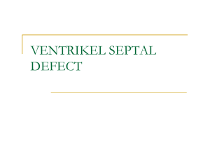 ventrikel septal defect