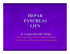 hepar pancreas lien
