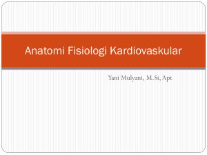 Anatomi Fisiologi Kardiovaskular