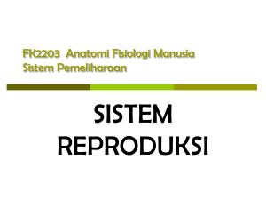 FK2203 Anatomi Fisiologi Manusia Sistem Pemeliharaan