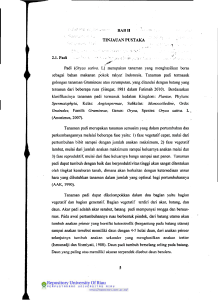 BAB II • - - TINJAUAN PUSTAKA 2.1.Padi