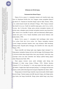 tinjauan pustaka