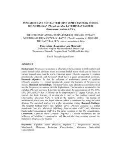 PENGARUH DAYA ANTIBAKTERI OBAT KUMUR EKSTRAK