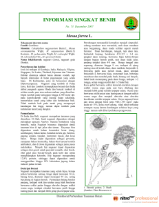 Acacia mangium Willd - Sistem Informasi Perbenihan Tanaman Hutan
