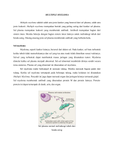 MULTIPLE MYELOMA Multiple myeloma adalah salah satu jenis