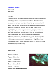 Chlamydia psittaci