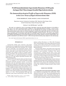 The Immunohistochemical Profile of Superoxide