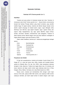 Keanekaragaman Fungi Mikoriza Arbuskula Dari