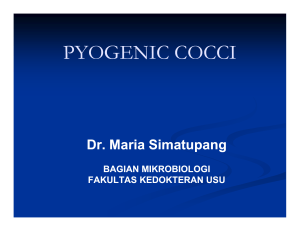 pyogenic cocci