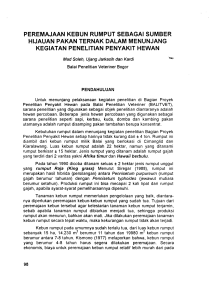 peremajaan kebun rumput sebagai sumber hijauan pakan ternak