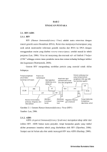 BAB 2 TINJAUAN PUSTAKA 2.1. HIV/AIDS 2.1.1. HIV HIV (Human