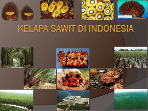 Kelapa Sawit di indonesia