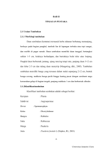 6 BAB II TINJAUAN PUSTAKA 2.1 Uraian Tumbuhan 2.1.1 Morfologi