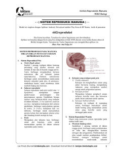 9002-biologi-bab-2-sistem-reproduksi-manusia