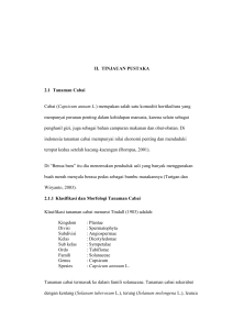 6 II. TINJAUAN PUSTAKA 2.1 Tanaman Cabai Cabai (Capsicum