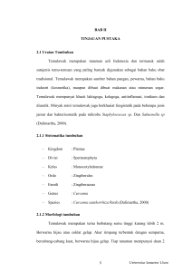 BAB II TINJAUAN PUSTAKA 2.1 Uraian Tumbuhan Temulawak