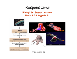 Immune Response