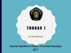 thorax 1 - Herlina Pratiwi, DVM.