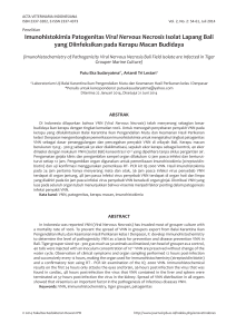 Imunohistokimia Patogenitas Viral Nervous Necrosis