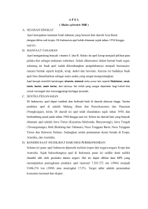 APEL ( Malus sylvestris Mill ) A. SEJARAH SINGKAT Apel