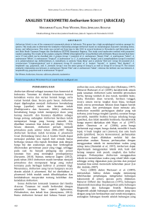 ANALISIS TAKSOMETRI Anthurium SCHOTT (ARACEAE)