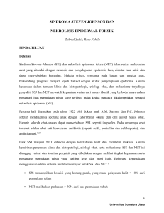 sindroma steven johnson dan nekrolisis epidermal toksik