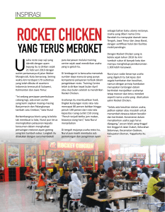 rocket chicken