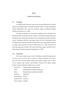 BAB 2 TINJAUAN PUSTAKA 2.1. Teh Hijau Teh adalah bahan