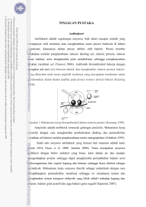 tinjauan pustaka