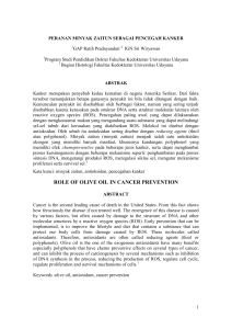 role of olive oil in cancer prevention