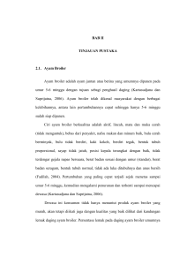 5 BAB II TINJAUAN PUSTAKA 2.1. Ayam Broiler