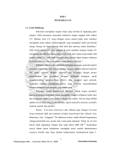 1 BAB 1 PENDAHULUAN 1.1. Latar Belakang Indonesia merupakan