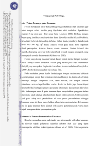 3 TINJAUAN PUSTAKA Fosfor (P) dan Perannya