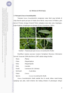 POTENSI MAHKOTA DEWA Phaleria macrocarpa