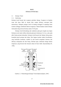 BAB 2 TINJAUAN PUSTAKA 2.1 Kelenjar Tiroid 2.1.1 Embriologi