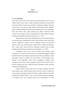 1 1 BAB 1 PENDAHULUAN 1.1. Latar Belakang Hutan dan kawasan