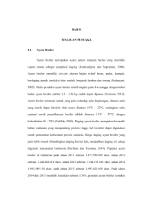 4 BAB II TINJAUAN PUSTAKA 2.1. Ayam Broiler