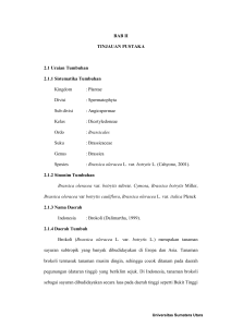 BAB II TINJAUAN PUSTAKA 2.1 Uraian Tumbuhan 2.1.1