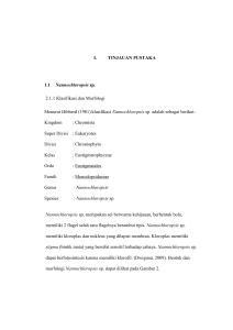 I. TINJAUAN PUSTAKA 1.1 Nannochloropsis sp. 2.1.1 Klasifikasi